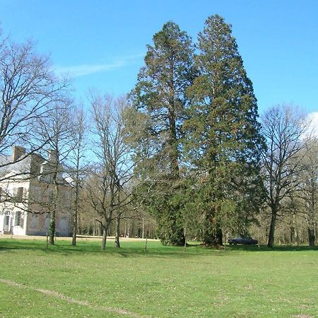 לינה וארוחת בוקר Saint-Laurent-Nouan Chateau De Bois Renard מראה חיצוני תמונה